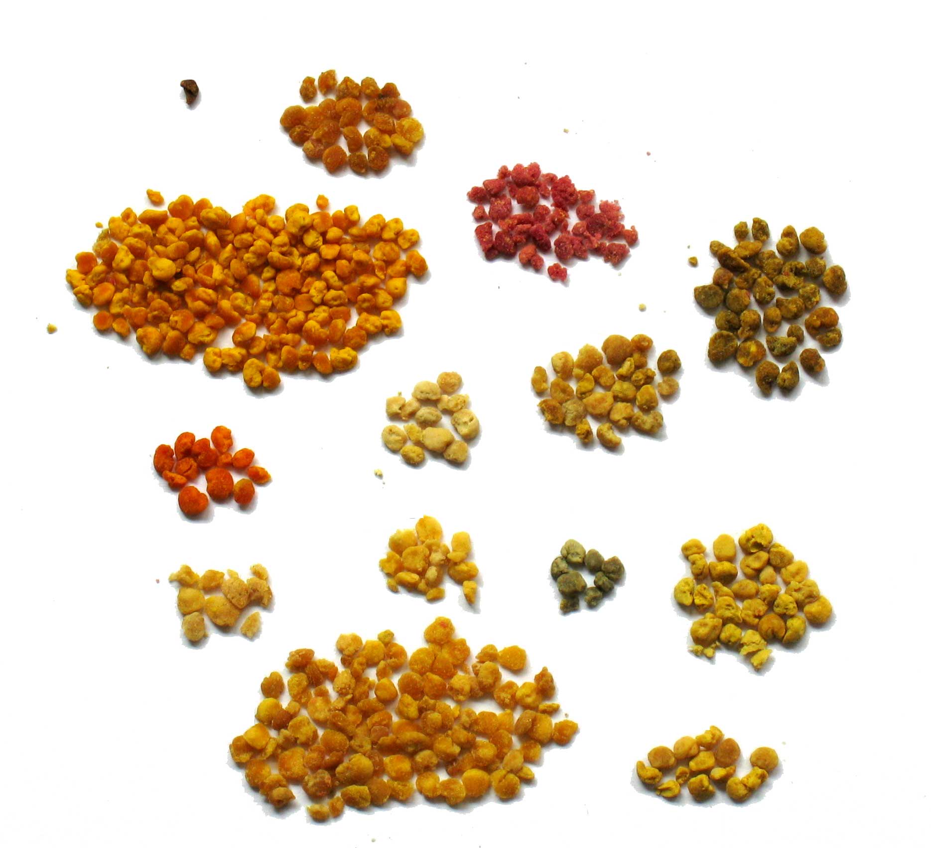 lucia-polline-462_06