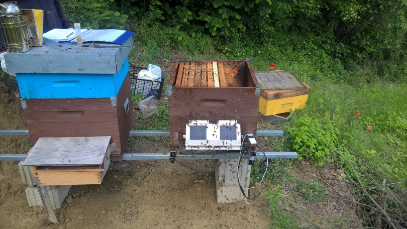 biomonitoraggio 2018 2