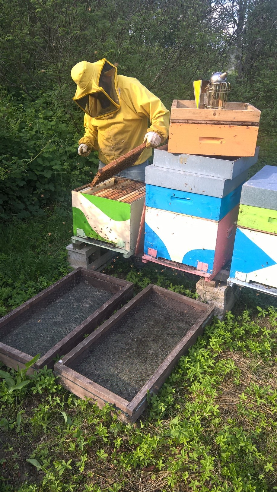 biomonitoraggio 2018 3