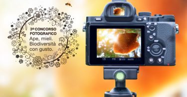 concorsofoto visual18 590x362