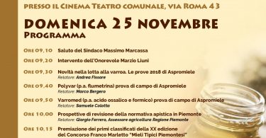 locandina convegno oleggio 20181-001