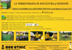 termoterapia immagine