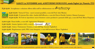 termoterapia immagine