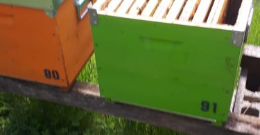 furto-parodi-ligure-2019