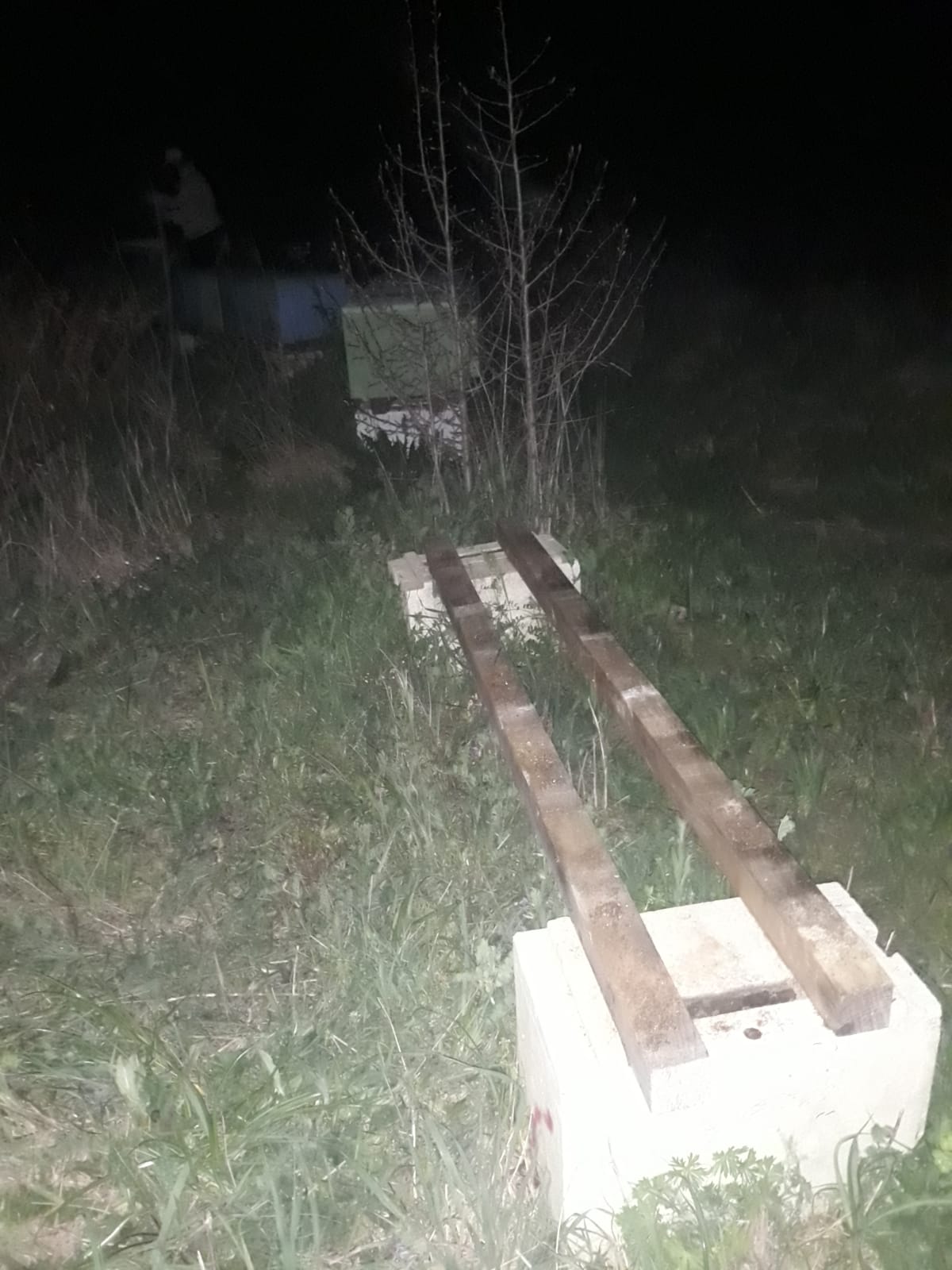 furtoportoercole2019