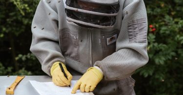 Aspromiele varroa monitoraggio